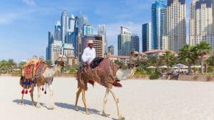 Pogoda w styczeń 2019 w Dubai, Zjednoczone Emiraty Arabskie