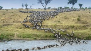 Pogoda w październik 2016 w Serengeti National Park, Tanzania